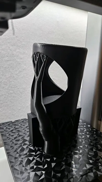 https://makerworld.bblmw.com/makerworld/model/1648575/1742691/ratings/86e5ff60-6c57-11f0-8c55-45e98cbaced3.jpg