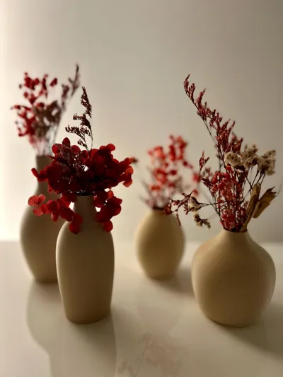 https://makerworld.bblmw.com/makerworld/model/1649304/1743551/ratings/67e9abf0-fc91-11f0-9290-6396d986e124.jpg