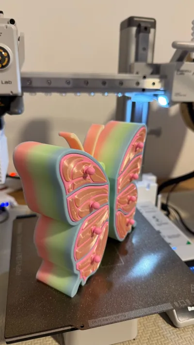 https://makerworld.bblmw.com/makerworld/model/1650371/1744806/ratings/05644dc0-b1b2-11f0-bda3-eb9f07441f1a.jpg