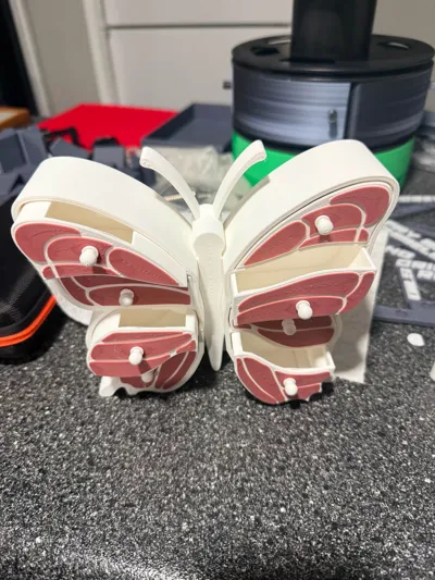 https://makerworld.bblmw.com/makerworld/model/1650371/1744806/ratings/61c89140-d118-11f0-8431-b79e14ded494.jpg