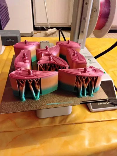 https://makerworld.bblmw.com/makerworld/model/1650371/1744806/ratings/e27ee290-ada9-11f0-8676-4fd34b00dfb7.jpg