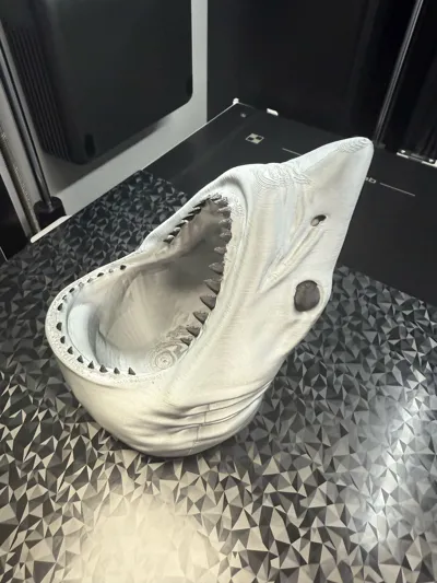 https://makerworld.bblmw.com/makerworld/model/1650381/1744820/ratings/d0a2f1c0-740a-11f0-a070-b3a6b8fb7bc4.jpg
