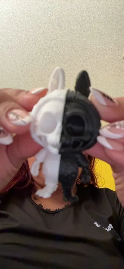 https://makerworld.bblmw.com/makerworld/model/1651646/1746210/ratings/5f16e8f0-7409-11f0-9a63-0b060d9d4b6f.jpg