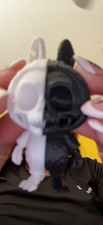 https://makerworld.bblmw.com/makerworld/model/1651646/1746210/ratings/5f1eff40-7409-11f0-9a63-0b060d9d4b6f.jpg