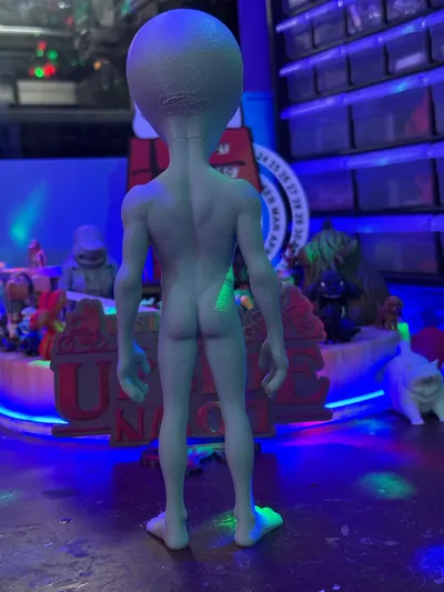 https://makerworld.bblmw.com/makerworld/model/1651695/1746271/ratings/fc8dff20-de11-11f0-b971-4b0f030c4d25.jpg