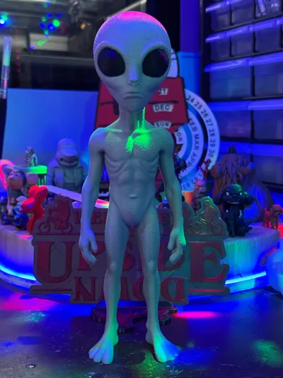 https://makerworld.bblmw.com/makerworld/model/1651695/1746271/ratings/fc9922b0-de11-11f0-b971-4b0f030c4d25.jpg