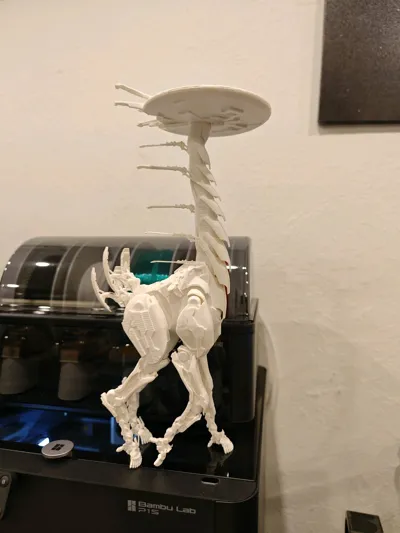https://makerworld.bblmw.com/makerworld/model/1652968/1747842/ratings/6cab1340-6fb5-11f0-8356-dde6dcd58f79.jpg