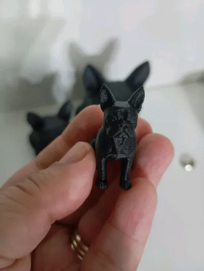 https://makerworld.bblmw.com/makerworld/model/1653382/1758138/ratings/54e92320-9a33-11f0-a28a-b7e27f552b5d.jpg