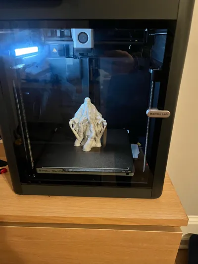 https://makerworld.bblmw.com/makerworld/model/1654462/1749610/ratings/a4e8d0d0-e6ac-11f0-b496-0d15f461ec55.jpg