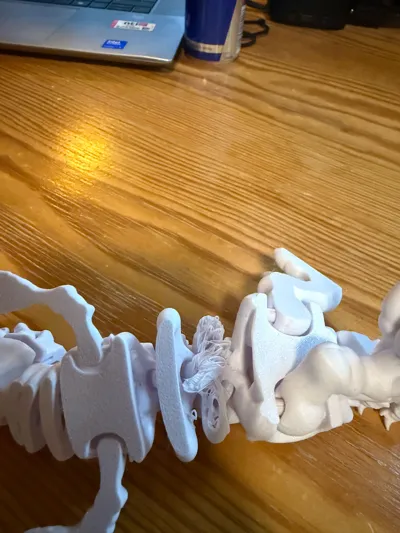 https://makerworld.bblmw.com/makerworld/model/1654638/1749808/ratings/f24e06f0-c1fa-11f0-96e5-afe17f754696.jpg