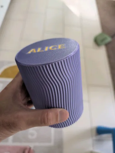 https://makerworld.bblmw.com/makerworld/model/1659540/1755342/ratings/5b3eb840-8717-11f0-9984-677521b5f20f.jpg