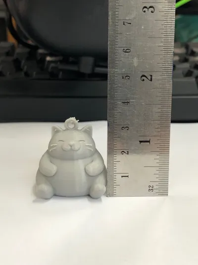 https://makerworld.bblmw.com/makerworld/model/1659770/1755585/ratings/84ef8a40-c572-11f0-a339-57fce0d61808.jpg