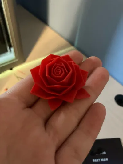 https://makerworld.bblmw.com/makerworld/model/1660036/2067907/ratings/28ea11f0-f1a2-11f0-8974-0575cc253f47.jpg