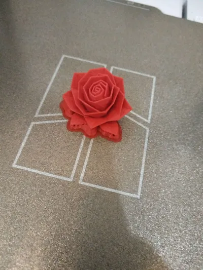 https://makerworld.bblmw.com/makerworld/model/1660036/2067907/ratings/df838a00-e3b9-11f0-aaf7-13fb70f9f4f8.jpg