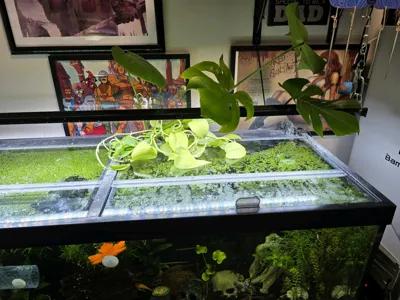 https://makerworld.bblmw.com/makerworld/model/1660177/1756137/ratings/5a55e7b0-e5c6-11f0-8b69-2b4a1f74de59.jpg