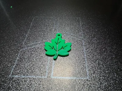 https://makerworld.bblmw.com/makerworld/model/1660832/1756911/ratings/e4300590-6f4e-11f0-a8cb-6b910300f10d.jpg