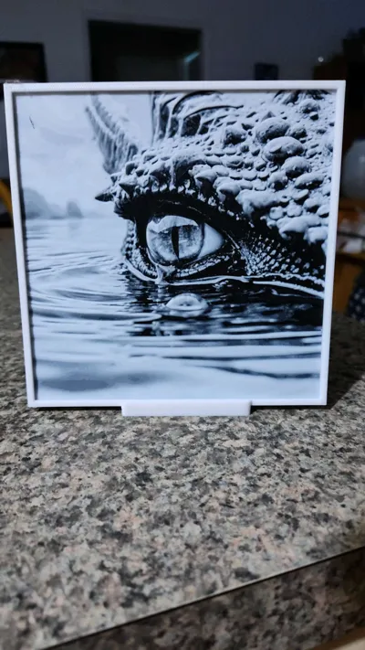 https://makerworld.bblmw.com/makerworld/model/1661870/1758146/ratings/0112c490-d8db-11f0-89ea-2b4dd27be1c4.jpg