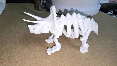 https://makerworld.bblmw.com/makerworld/model/1662076/1758393/ratings/bad52950-752f-11f0-a2f9-69b981ab0f72.jpg