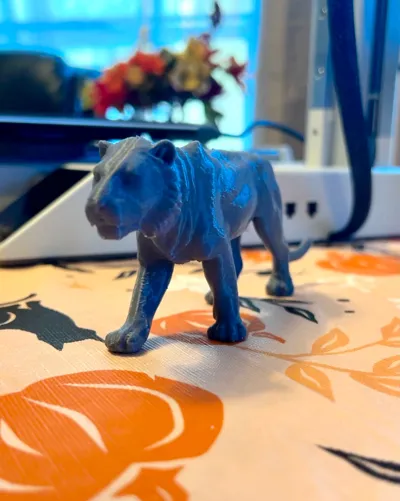 https://makerworld.bblmw.com/makerworld/model/1662546/1758960/ratings/84f85ad0-abbe-11f0-ab5e-138792d1b6e9.jpg
