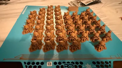 https://makerworld.bblmw.com/makerworld/model/1662945/1759476/ratings/53f80060-abce-11f0-865b-affe20da2217.jpg