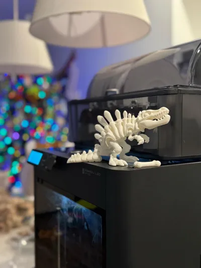 https://makerworld.bblmw.com/makerworld/model/1663289/1767847/ratings/d3eb76e0-e525-11f0-bec9-49381f103f56.jpg