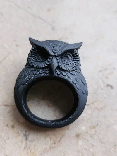 https://makerworld.bblmw.com/makerworld/model/1663446/1760083/ratings/996625b0-71d0-11f0-8c07-fde304b30b5f.jpg