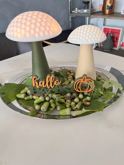 https://makerworld.bblmw.com/makerworld/model/1665043/1761980/ratings/9e651ac0-9215-11f0-aebd-6f9475e69831.jpg