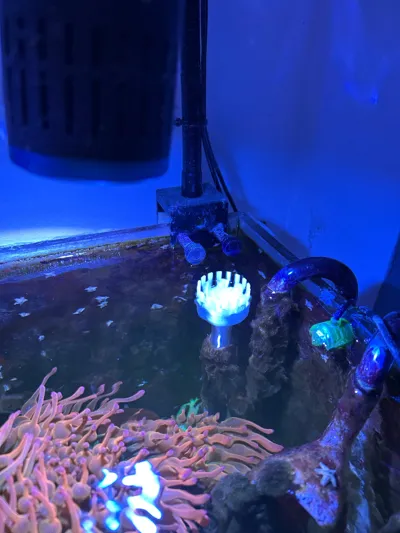 https://makerworld.bblmw.com/makerworld/model/1665526/1762580/ratings/1b066630-c892-11f0-8d70-c3619158acd4.jpg