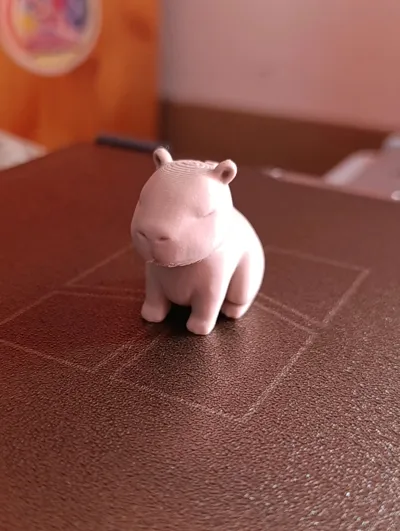 https://makerworld.bblmw.com/makerworld/model/1665741/1762820/ratings/026dca50-93c7-11f0-950e-2d3f8969f3ef.jpg