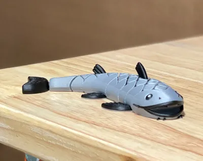 https://makerworld.bblmw.com/makerworld/model/1666031/1763187/ratings/3e001740-7567-11f0-89b6-c9acc5c59cca.jpg