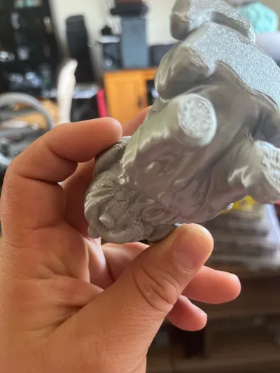 https://makerworld.bblmw.com/makerworld/model/1666661/1763927/ratings/c9d5d6d0-777c-11f0-82e9-9b87bb275e20.jpg