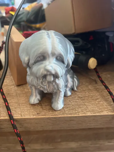 https://makerworld.bblmw.com/makerworld/model/1666661/1763927/ratings/c9e678a0-777c-11f0-82e9-9b87bb275e20.jpg