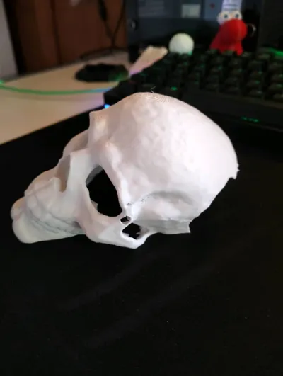https://makerworld.bblmw.com/makerworld/model/1669235/1766997/ratings/df952a60-72b4-11f0-8832-09c3f86b8605.jpg