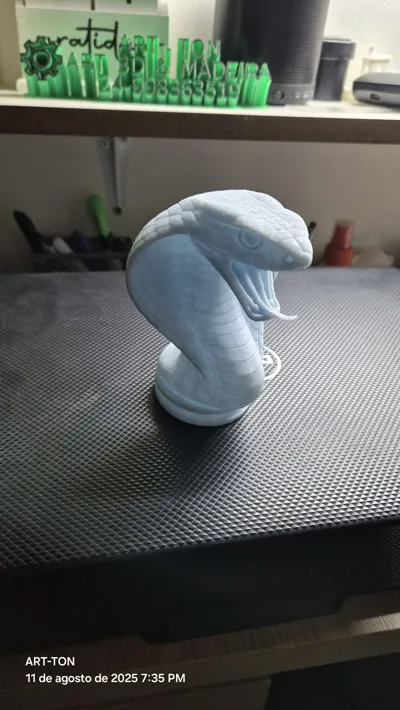 https://makerworld.bblmw.com/makerworld/model/1670262/1768237/ratings/79f6ccb0-7703-11f0-95f2-1f87b5ace1ee.jpg