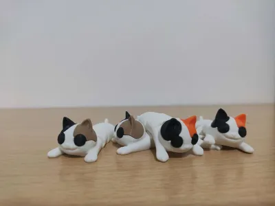 https://makerworld.bblmw.com/makerworld/model/1670379/1768444/ratings/624de780-7e0e-11f0-9e49-e316a93d8f04.jpg