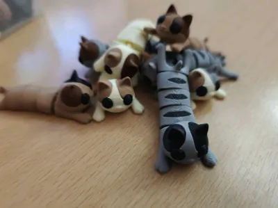 https://makerworld.bblmw.com/makerworld/model/1670379/1768444/ratings/cf73a180-a486-11f0-aac5-b9b8f2b27d2e.jpg