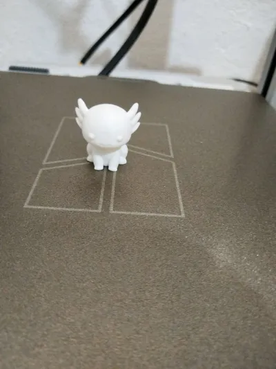 https://makerworld.bblmw.com/makerworld/model/1671375/1769629/ratings/476a6de0-f671-11f0-b501-d51f94185f6a.jpg