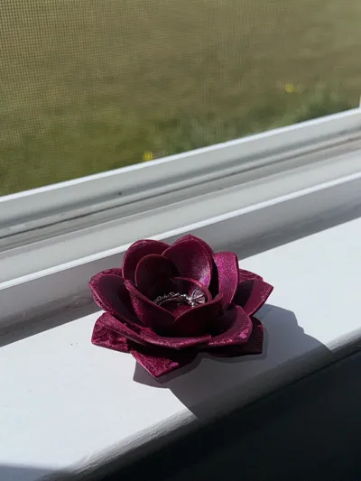 https://makerworld.bblmw.com/makerworld/model/1671605/1769904/ratings/142726f0-970b-11f0-a25b-8964d8721b59.jpg