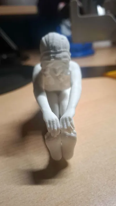 https://makerworld.bblmw.com/makerworld/model/1672421/1770892/ratings/25dbb250-7594-11f0-952b-dded0f9c1a9e.jpg