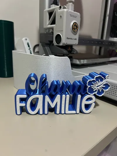 https://makerworld.bblmw.com/makerworld/model/1673605/1772292/ratings/9237f490-a96f-11f0-bf60-fdf284fd9201.jpg