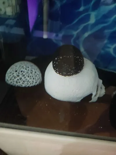 https://makerworld.bblmw.com/makerworld/model/167451/183850/ratings/cd51f730-a4cc-11f0-8524-874e75d44c66.jpg