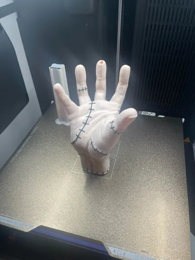 https://makerworld.bblmw.com/makerworld/model/1674877/1773736/ratings/2104a2b0-77a0-11f0-976e-f77d40678947.jpg