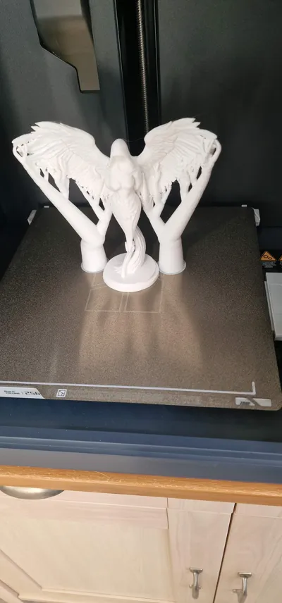 https://makerworld.bblmw.com/makerworld/model/1675635/1774571/ratings/347c6e40-d754-11f0-888b-7fc9903d5fe2.jpg