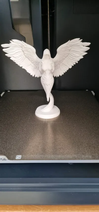 https://makerworld.bblmw.com/makerworld/model/1675635/1774571/ratings/347ff0b0-d754-11f0-888b-7fc9903d5fe2.jpg
