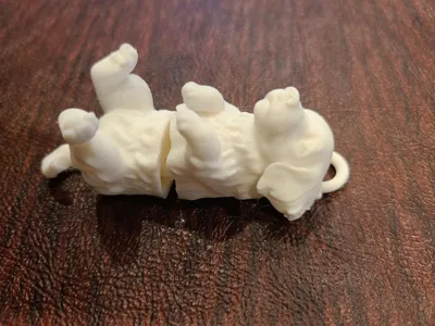 https://makerworld.bblmw.com/makerworld/model/1677909/1785872/ratings/a2edf9a0-ea7a-11f0-9bc6-415c7a2cadab.jpg