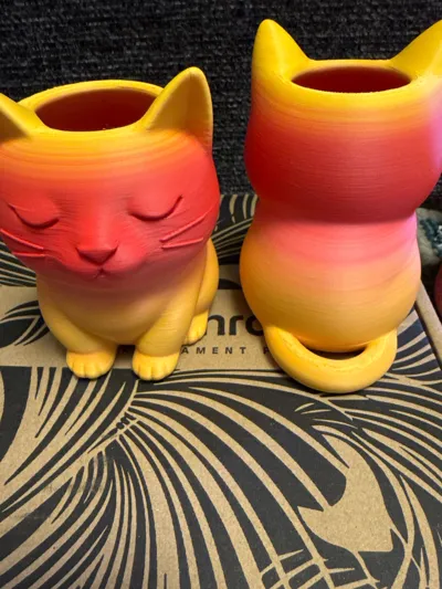 https://makerworld.bblmw.com/makerworld/model/1678045/1777379/ratings/13942350-f02f-11f0-aa94-3d955e9c83e0.jpg