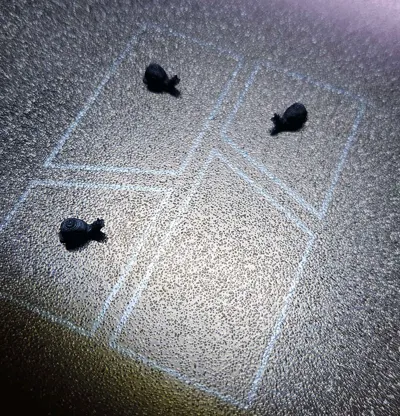 https://makerworld.bblmw.com/makerworld/model/1678839/1778336/ratings/12742100-f809-11f0-8739-f96535fbba6b.jpg