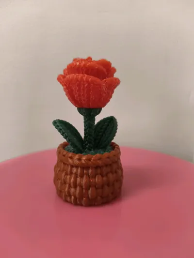 https://makerworld.bblmw.com/makerworld/model/1678888/1778388/ratings/00587040-cf4e-11f0-bca7-c7179ea026e7.jpg