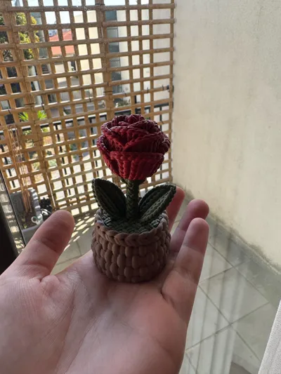 https://makerworld.bblmw.com/makerworld/model/1678888/1778388/ratings/60c34da0-8d69-11f0-9b25-518f4ed27cf6.jpg