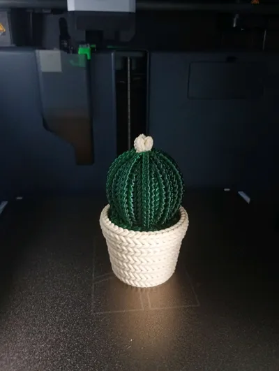 https://makerworld.bblmw.com/makerworld/model/1678899/1778445/ratings/caf6ecc0-8339-11f0-a522-2febb3356309.jpg